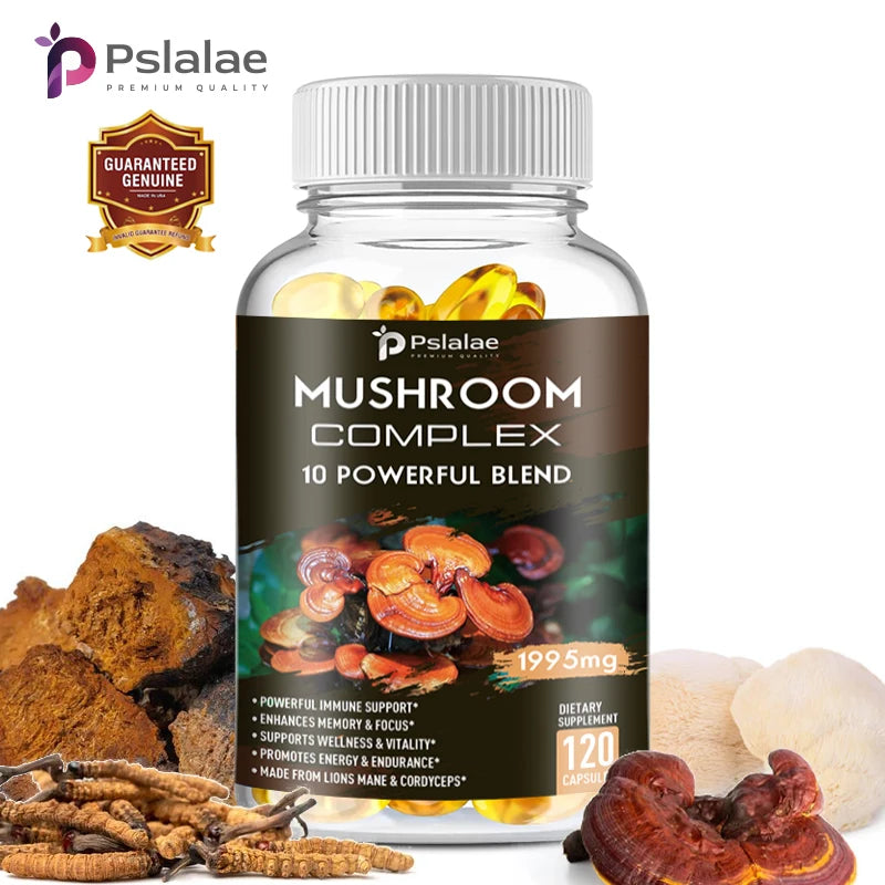 mushroom complex lion s mane chaga and reishi