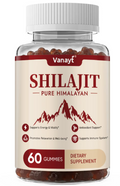 Shilajit Gummies 3,000 mg Blend — 60 Gummies — product bottle