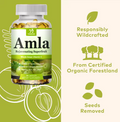Amla rejuvenating superfruit capsules, responsibly wildcrafted