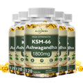 ksm 66 ashwagandha 1800 mg